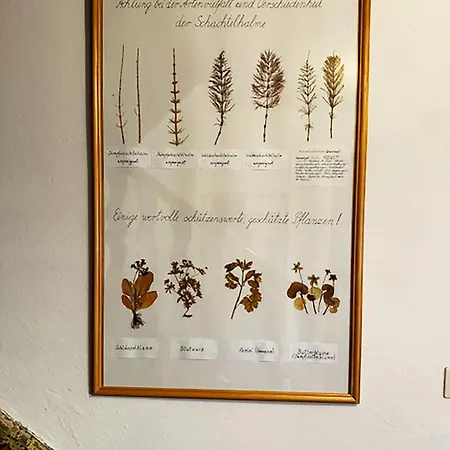 דירה Kraeuterhof Forchheim