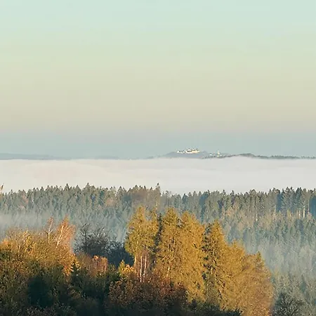 Kräuterhof Forchheim Apartment Pockau